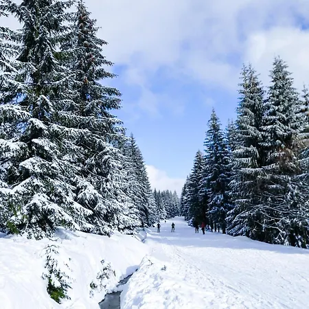 Loft- Izerski Appartement *