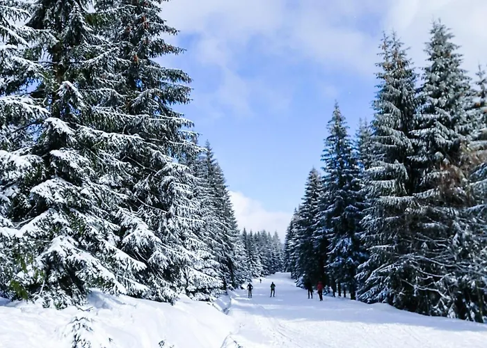 Loft- Izerski Διαμέρισμα *